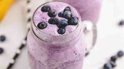 Blaubeer smoothie ernährungs-docs