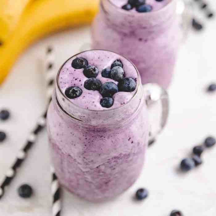 Blaubeer smoothie ernährungs-docs