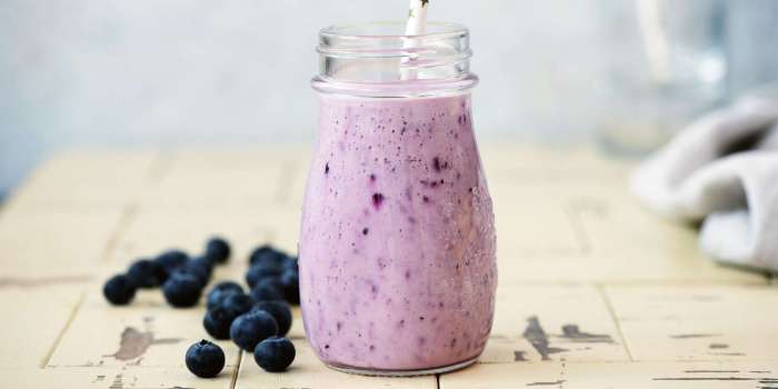 Blaubeer smoothie ernährungs-docs