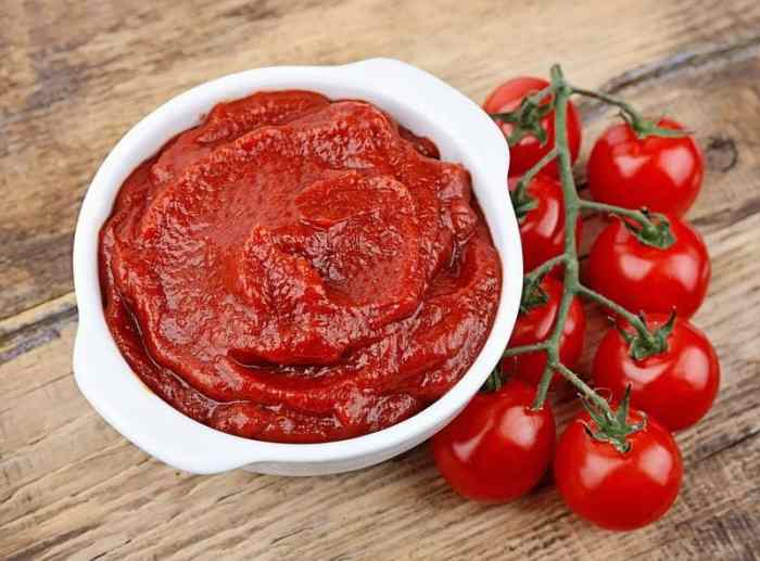 Tomato sauce recipe with tomato paste