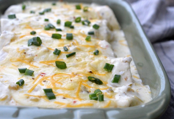 White sauce enchilada recipes