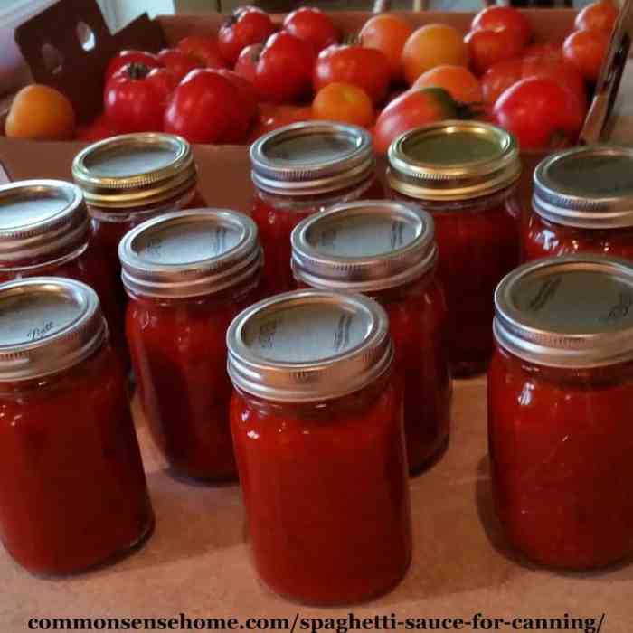 Sauce canning tomato preserve