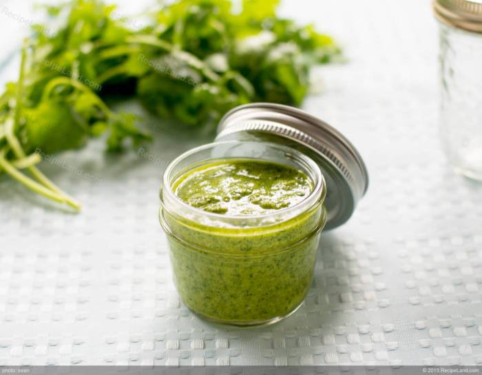 Cilantro pesto sauce recipe